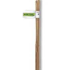 Clearance NORTENE Tuteur bambou naturel coloris beige H1,20 m x Ø 10-12 mm