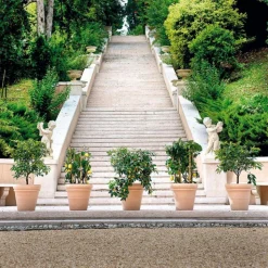 Hot DEROMA Vase Doppio bordo en terre cuite D.62 x H54