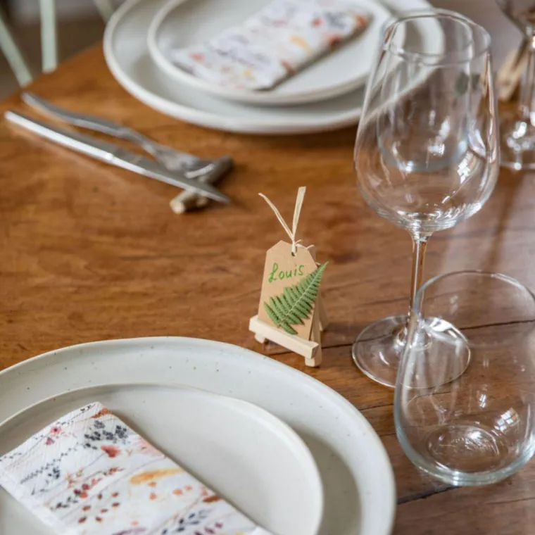 Verre à vin coloris vert en verre cristallin Tivoli Leonardo - 58 cl