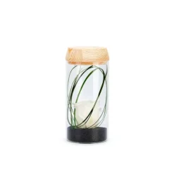 Best NATURALYS Verrine tube light blanche taille S Ø 8 x H 18 cm