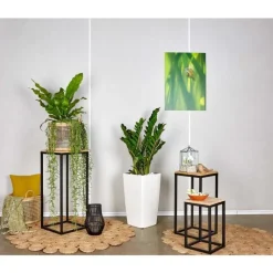 Sale Zamioculcas et son pot Cubico premium Ø 30 blanc