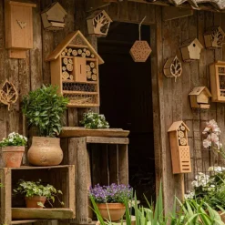 Discount BOTANIC® Mangeoire pour écureuil en bois coloris naturel