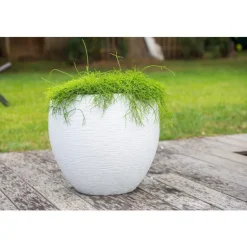 EDA Pot egg Graphit blanc cérusé D50 x H45