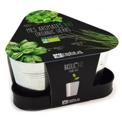 Sale RADIS ET CAPUCINE Trio de pots en zincs pour aromatiques Bio à semer 23x23x12 cm